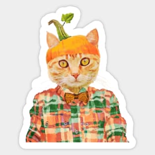 Pumpkin Cat Sticker